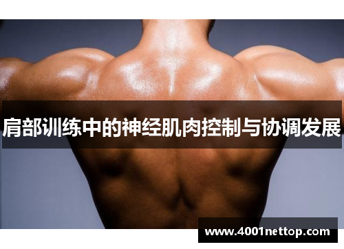 肩部训练中的神经肌肉控制与协调发展