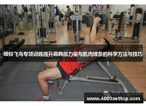 哑铃飞鸟专项训练提升肩胸部力量与肌肉线条的科学方法与技巧